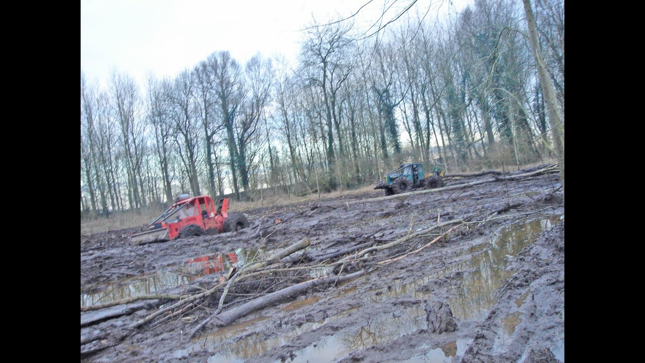 Débardage peupliers avec 2 Timberjack Skidder 225D et 225E dans un marais