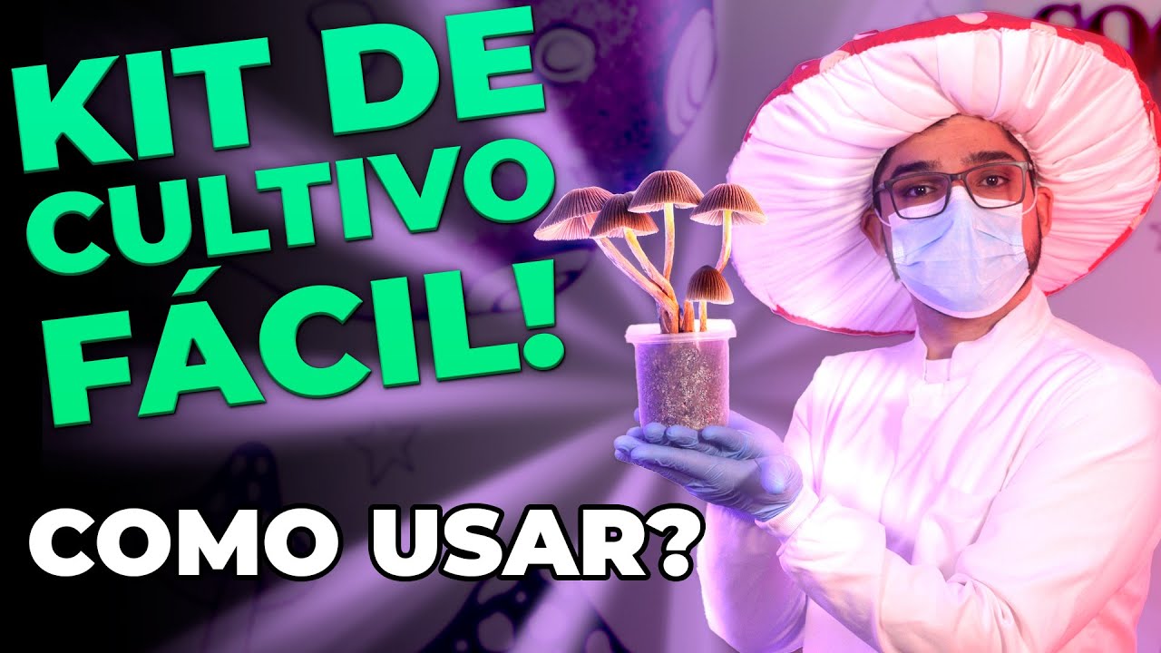 KIT DE CULTIVO F&Aacute;CIL - Como plantar cogumelos frescos em casa?