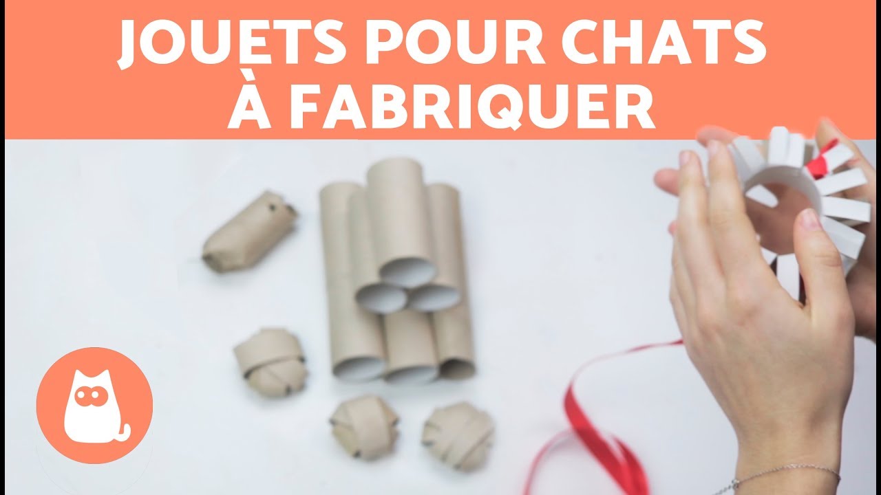 Jouets pour chats à fabriquer