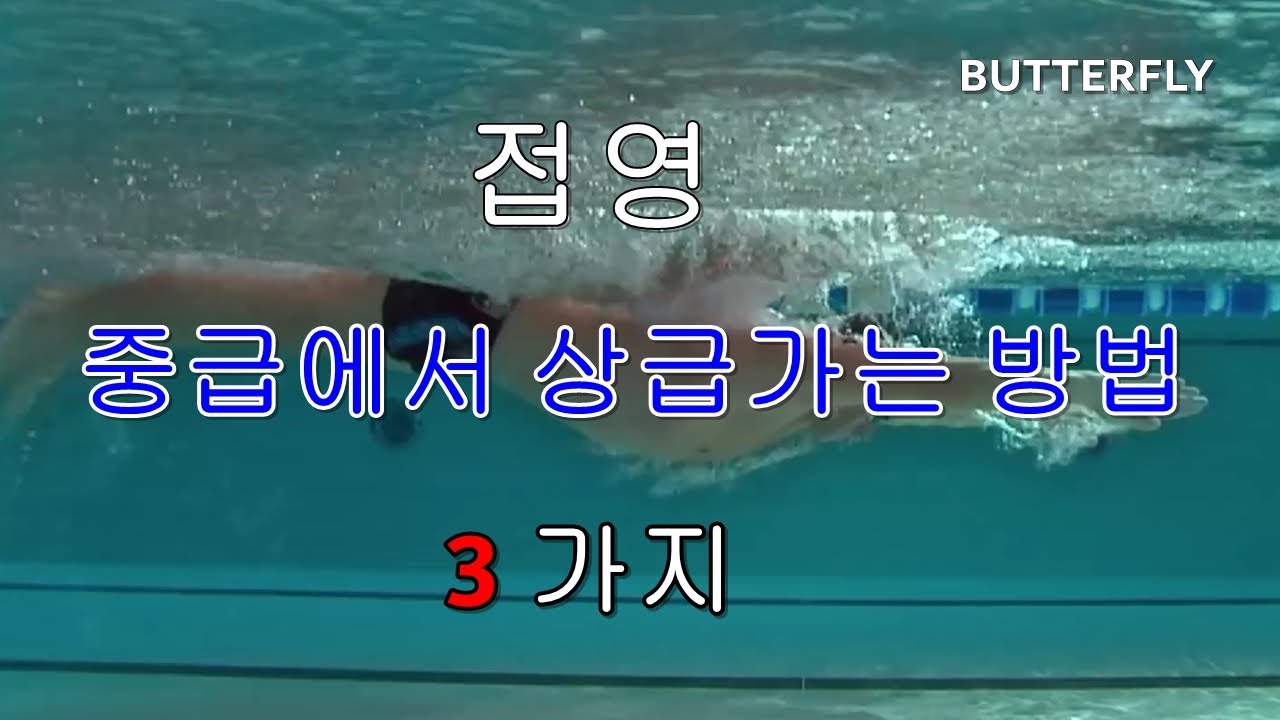 접영 중급에서 상급가는 방법 3가지