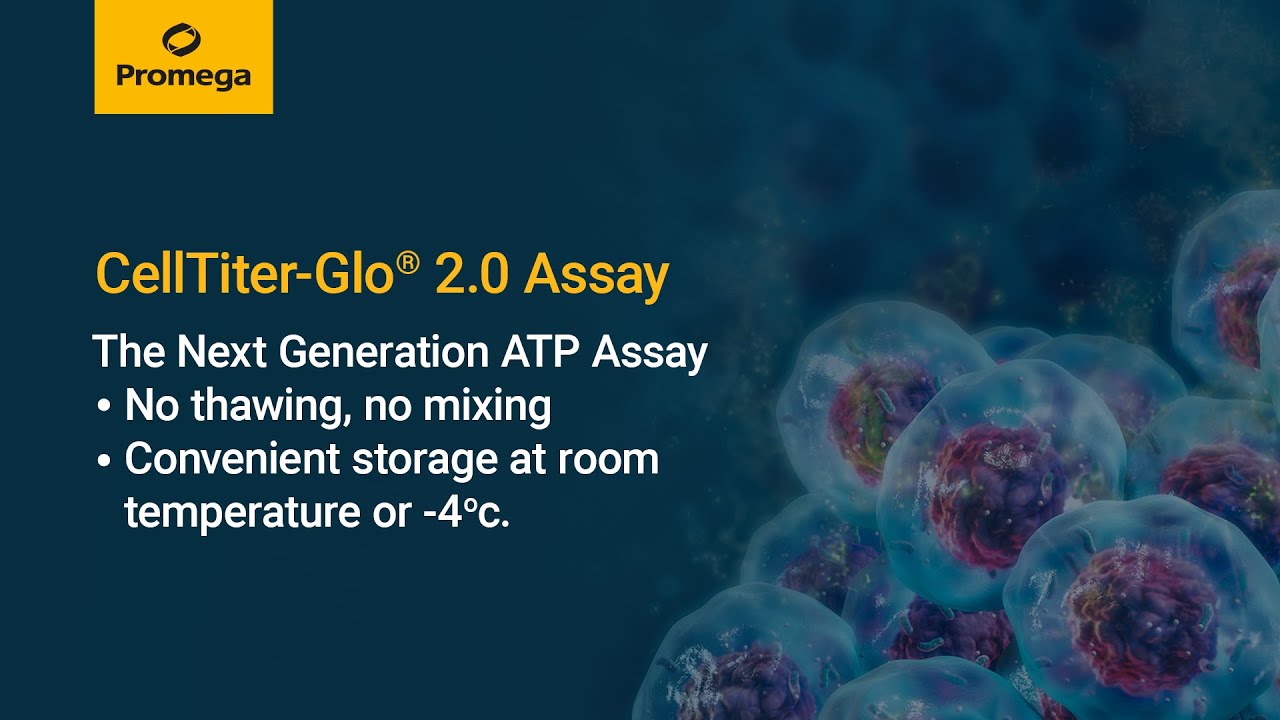 CellTiter Glo&reg; 2 0 Cell Viability Assay