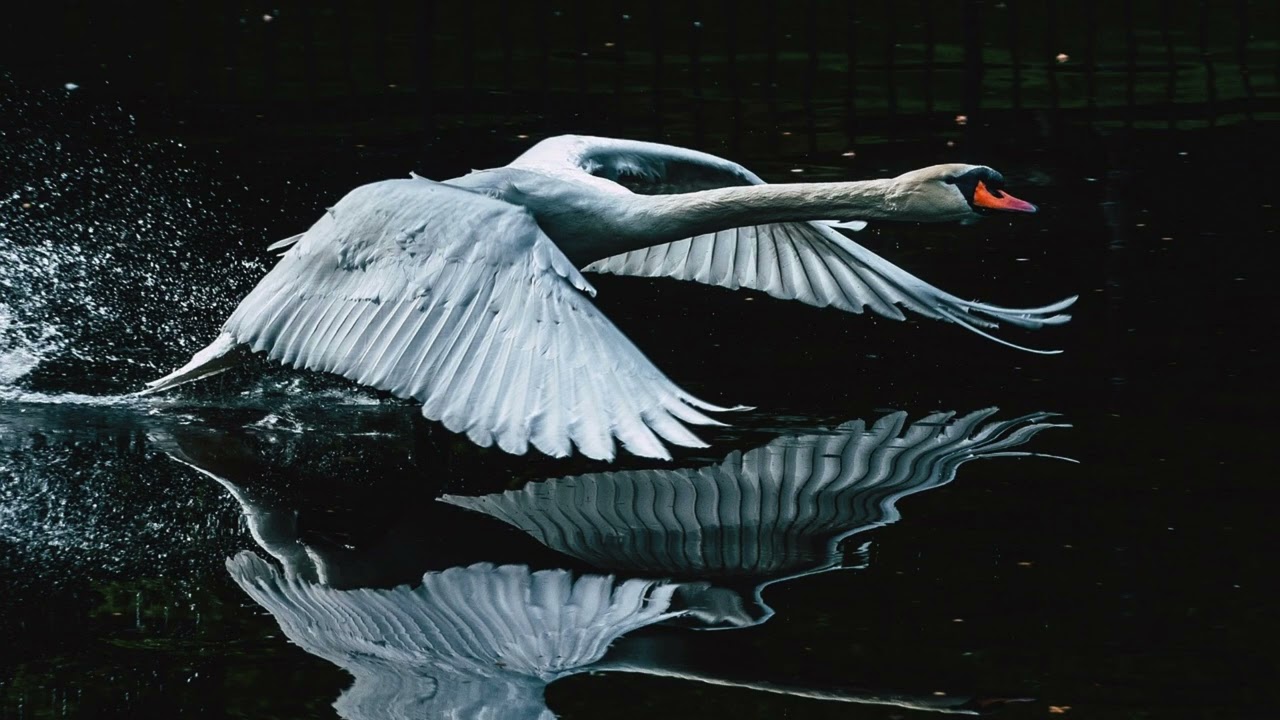 6 Profound Insights Gained from Moments of Stillness