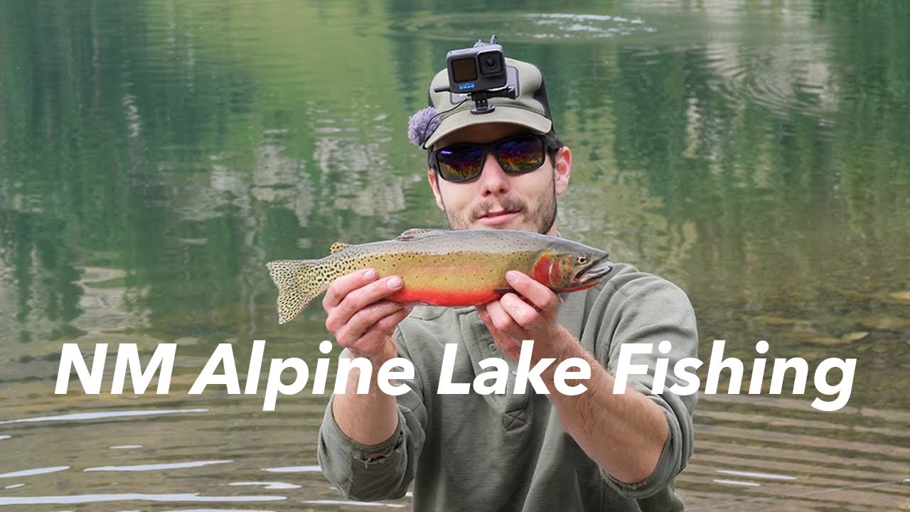 Catching Cutthroat at an NM Alpine Lake - Rio Grande Cutthroat Fishing in New Mexico