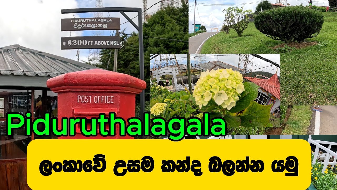 Piduruthalagala Mountain In Sri Lanka🇱🇰 | ලංකාවේ උසම කන්ද බලන්න යමු