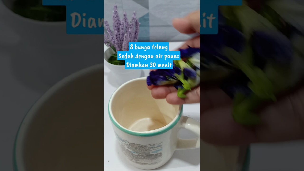 Es bunga telang minuman sehat untuk buka puasa