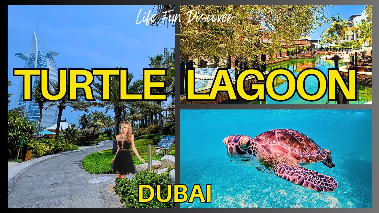 Dubai Turtle Lagoon