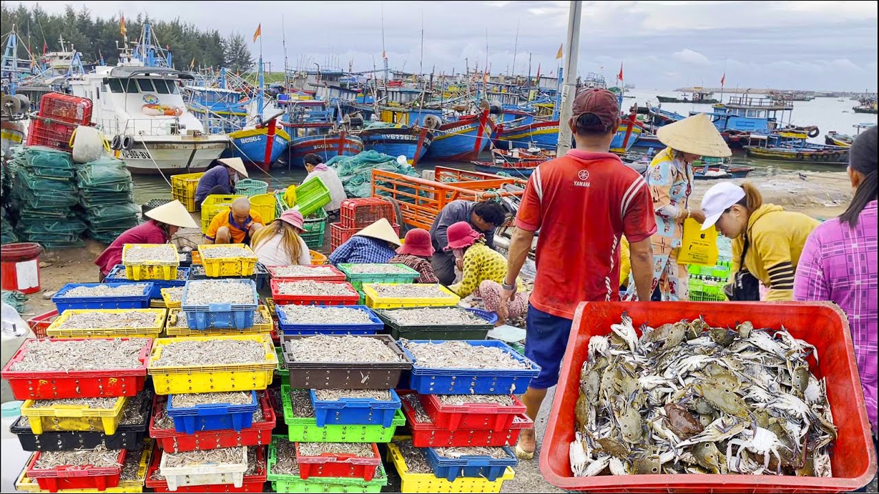 Wow! The bustling fish ports brim with fresh seafood in Vietnam.