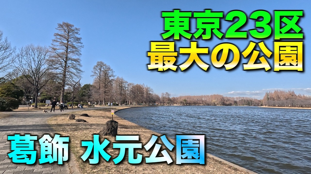23区最大の水元公園を歩く｜静かな水辺の散歩
