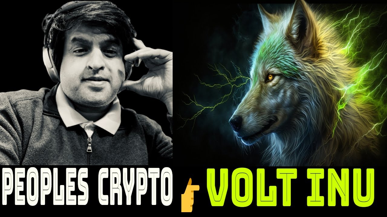 Volt Inu The Peoples Crypto | Voltichange | Crypto Kitcha #voltinu #voltichange
