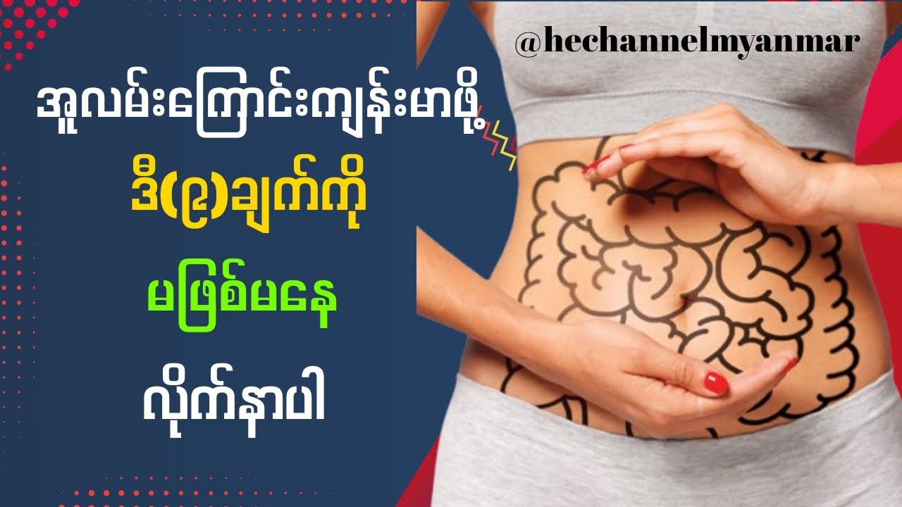 အူလမ်းကြောင်းကျန်းမာရေးအတွက် နေ့စဉ် လုပ်ဆောင်ရမည့် အချက်(၉)ချက် #guthealth #guthealthtips 