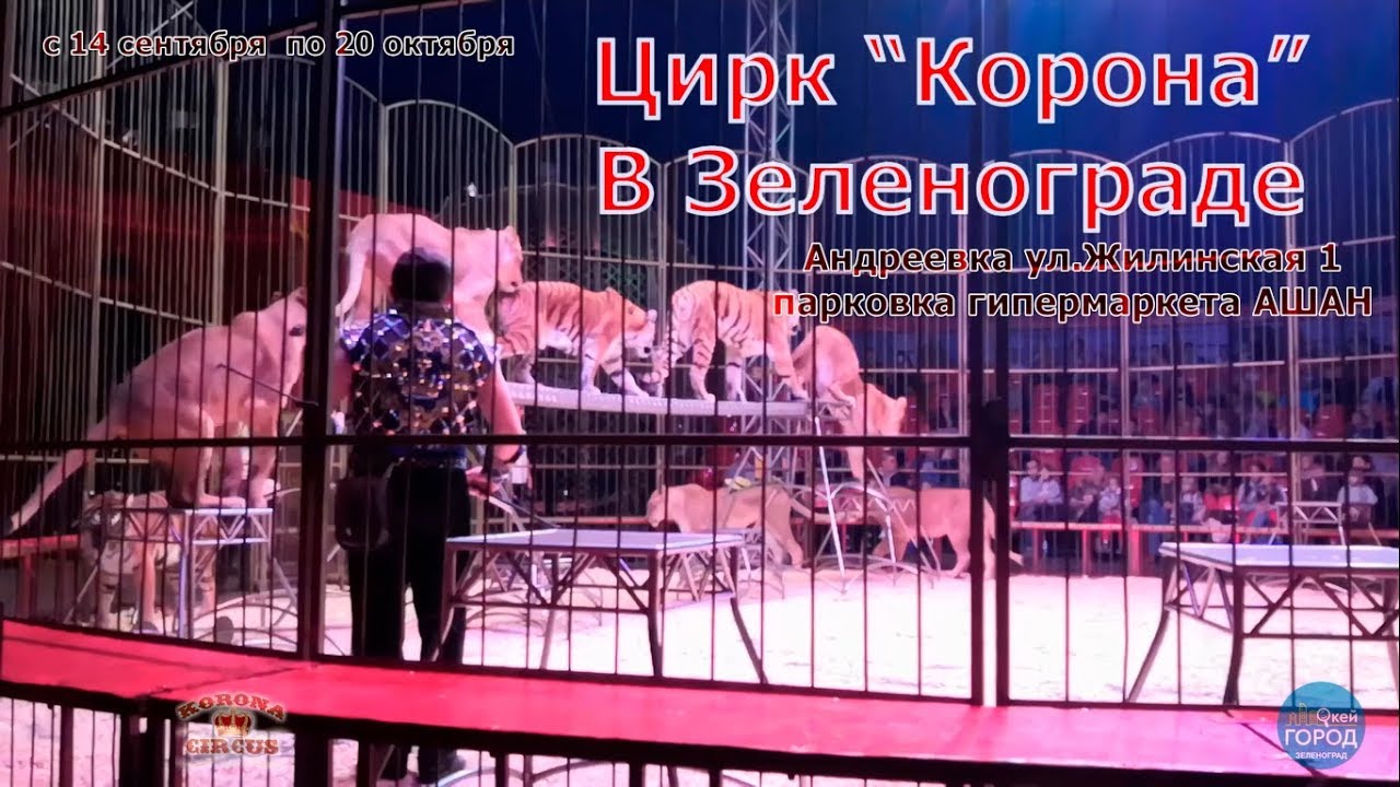 Цирк 