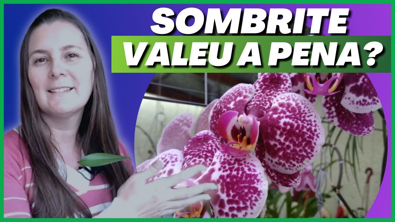 💐☂️ COMO ESTÃO as plantas da minha mãe após colocar o [SOMBRITE]!!!!👉