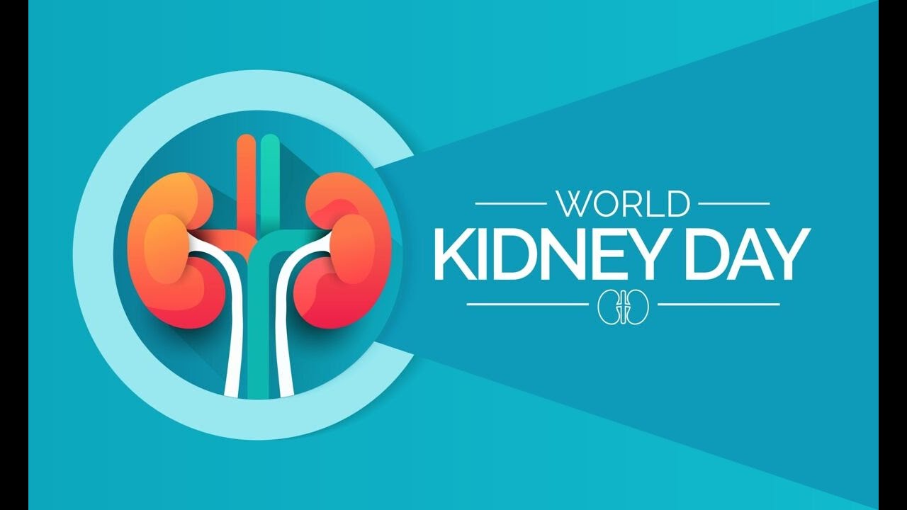 World Kidney Day 2025 #nursingonlineeduaction #worldkidneyday