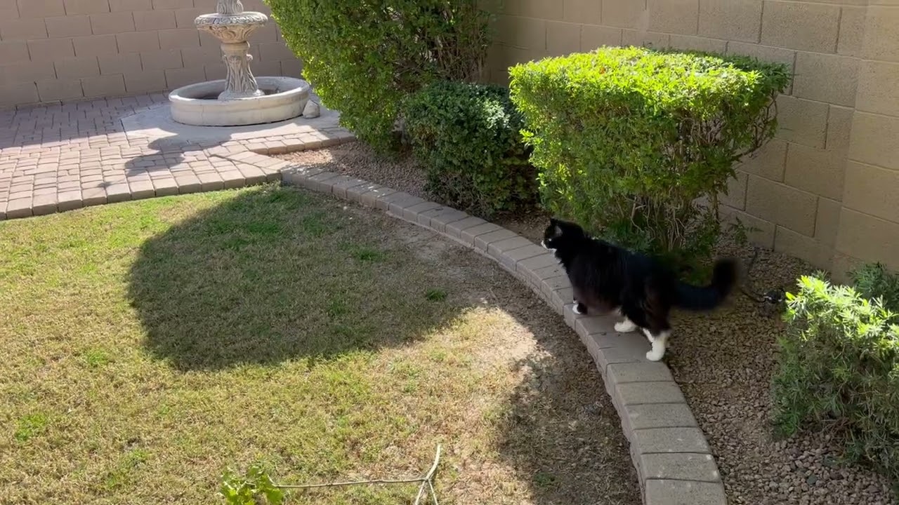 Another beautiful day in our garden