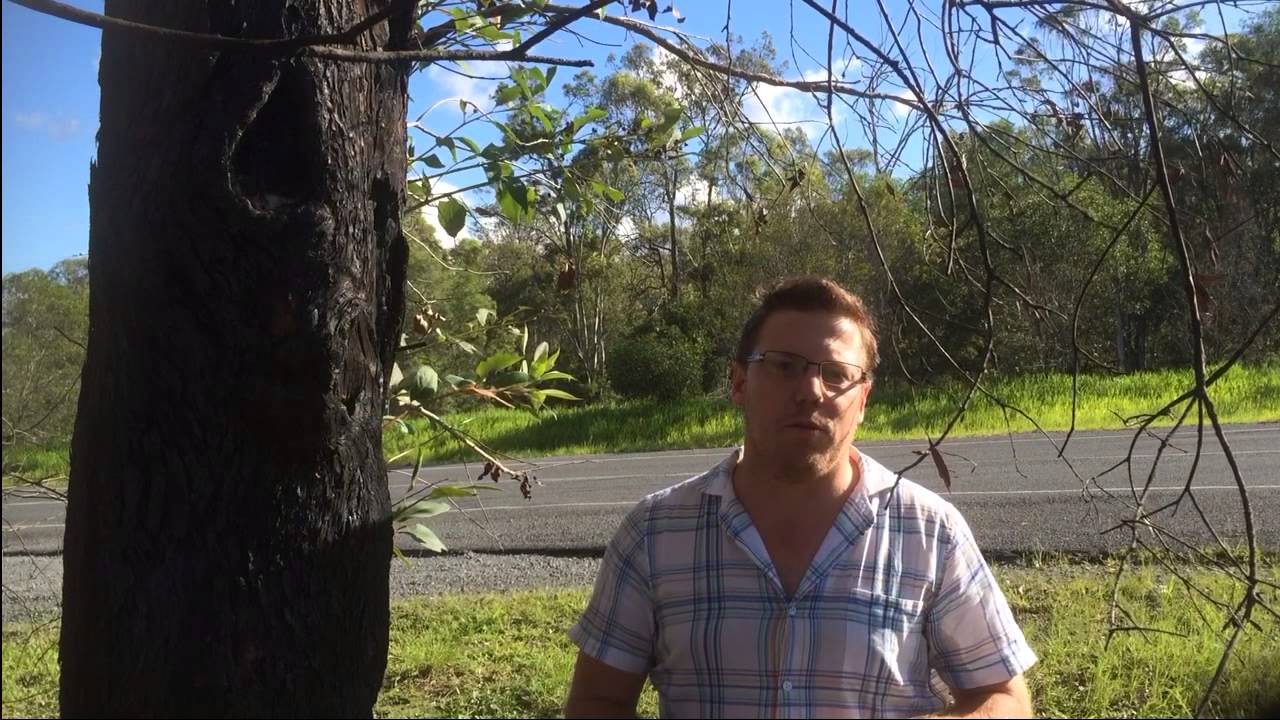 Geocaching Network Intro