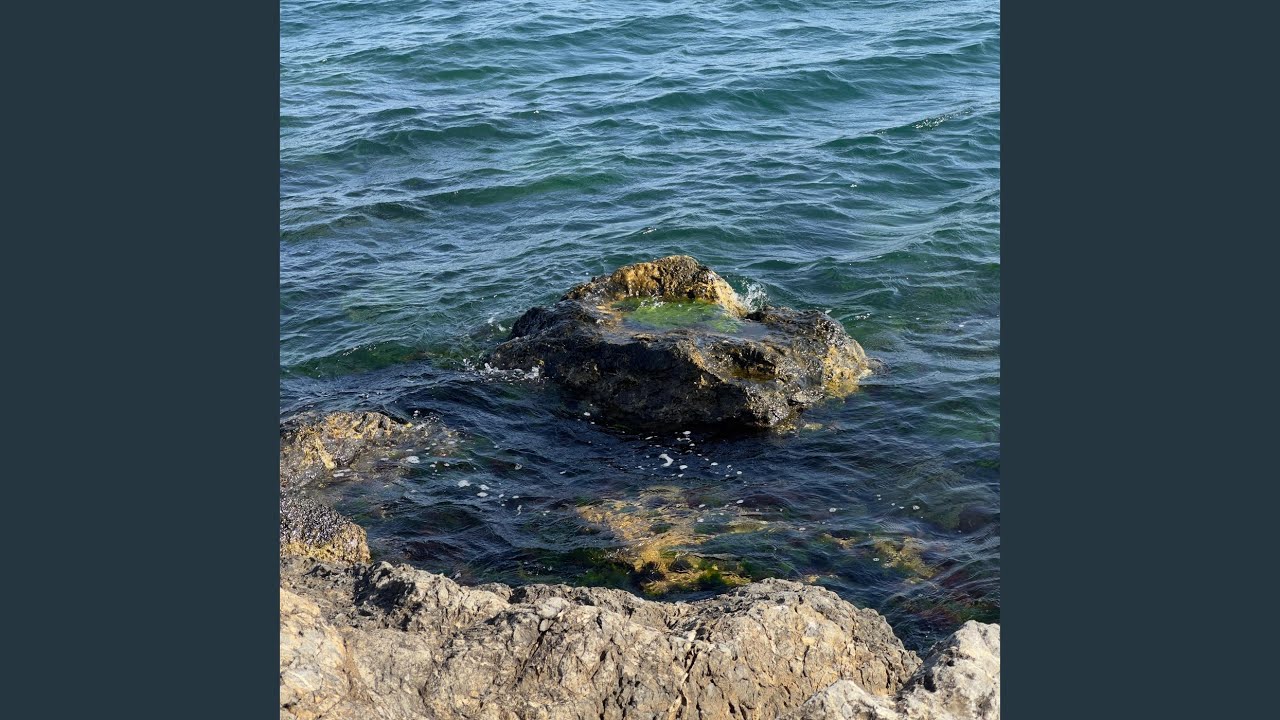 Bakarız