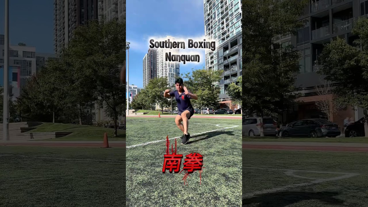 This is the southern boxing also called Nanquan #viralshort #martialarts #fy