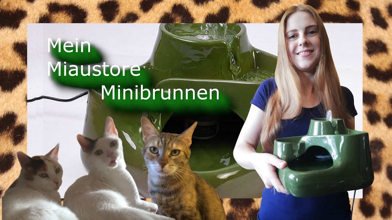 Mein neuer Miaustore Minibrunnen ist da!