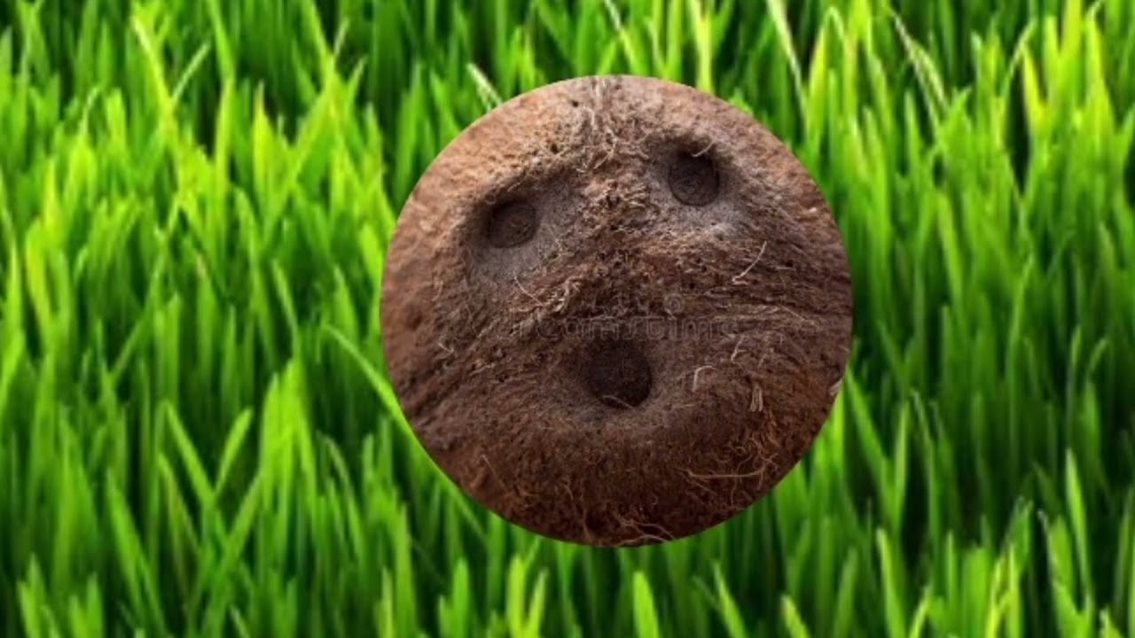 😃😌😏🥺🥲😞😡Faces of coconut 😦😮😯🫩തേങ്ങയുടെ ഭാവങ്ങൾ🙂😌☹️😲