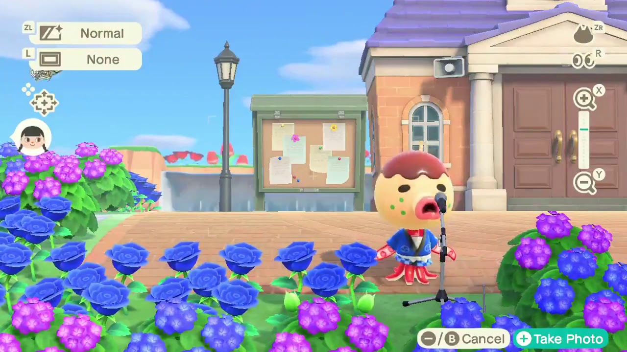 zucker singing bubblegum k.k.