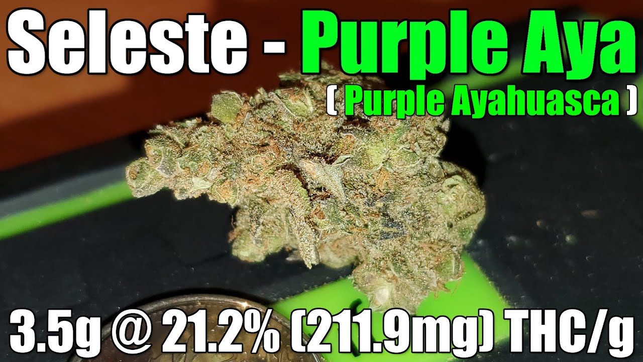 Seleste - Purple Aya - Unboxing Review - 3.5g @ 21.2% (211.9mg) THC/g (+Extreme Closeups)