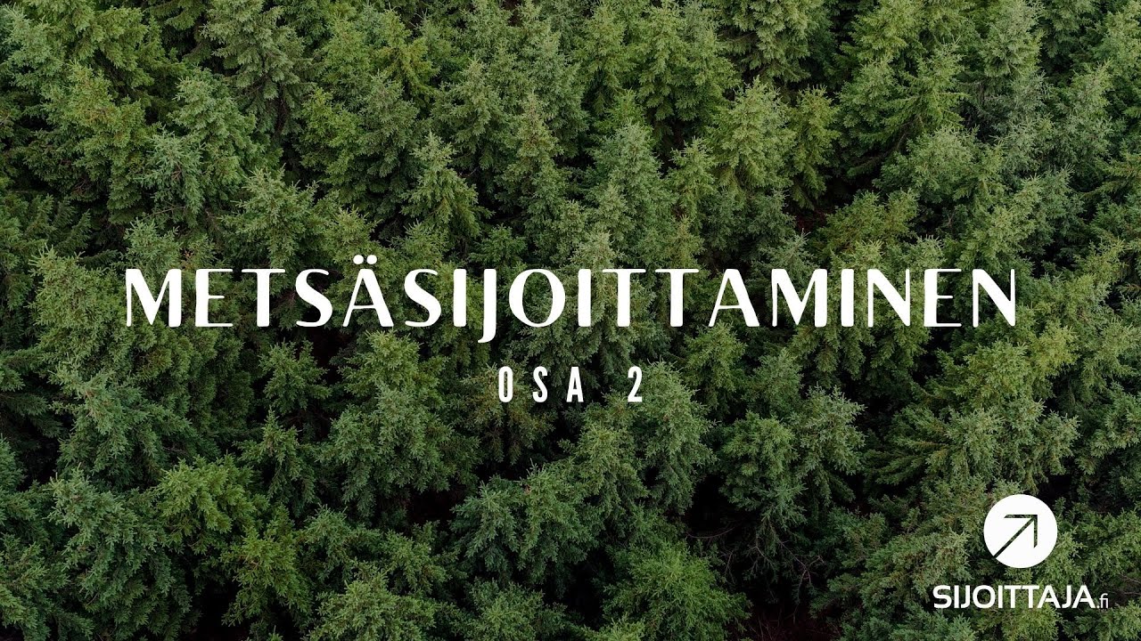 Metsäsijoittaminen osa 2: Metsät hiilinieluina - uhka vai mahdollisuus?