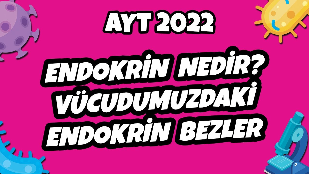 Endokrin Nedir? Vücudumuzdaki Endokrin Bezler | AYT Biyoloji 2022 #hedefekoş