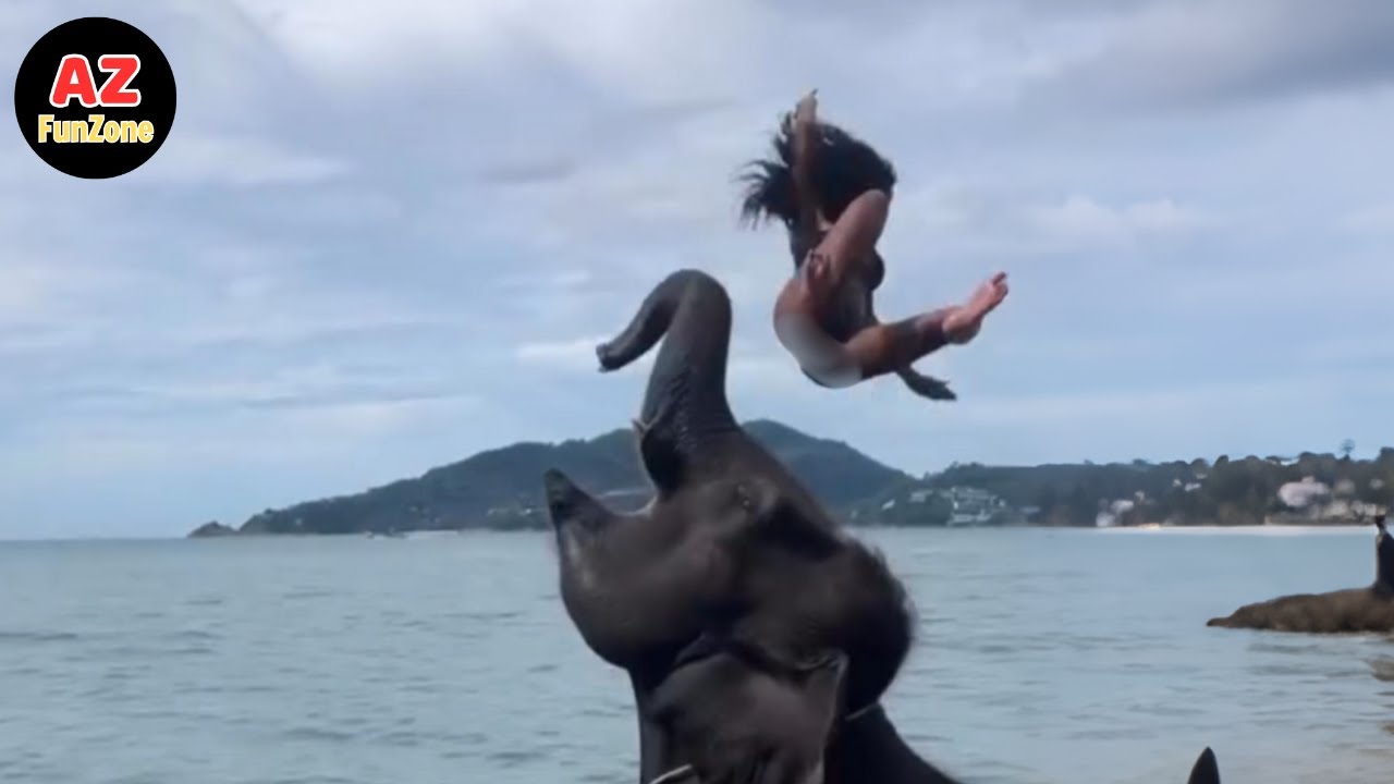 Funniest Fails & Viral Memes Of The Year 😂🤣 Try Not To Laugh Challenge #2