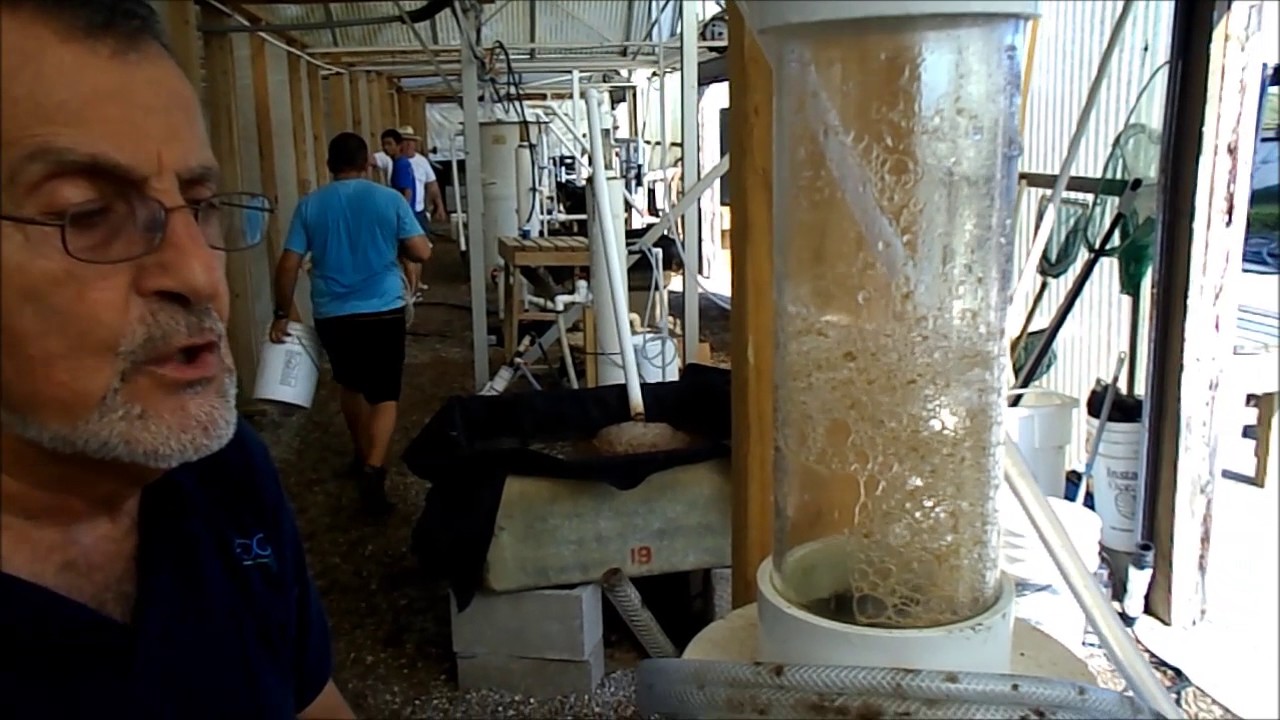Video #3 Operation of a small foam fractionator 40m3 RWs