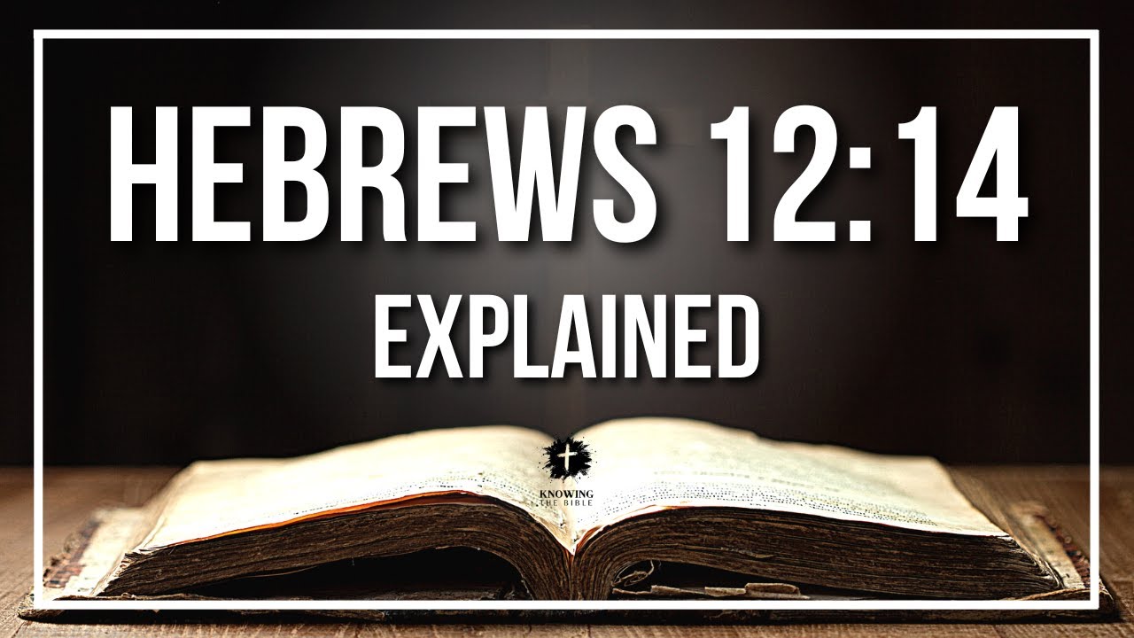 HEBREWS 12:14 Explained | HEBREWS 12:14 Meaning According to the Bible [KJV]