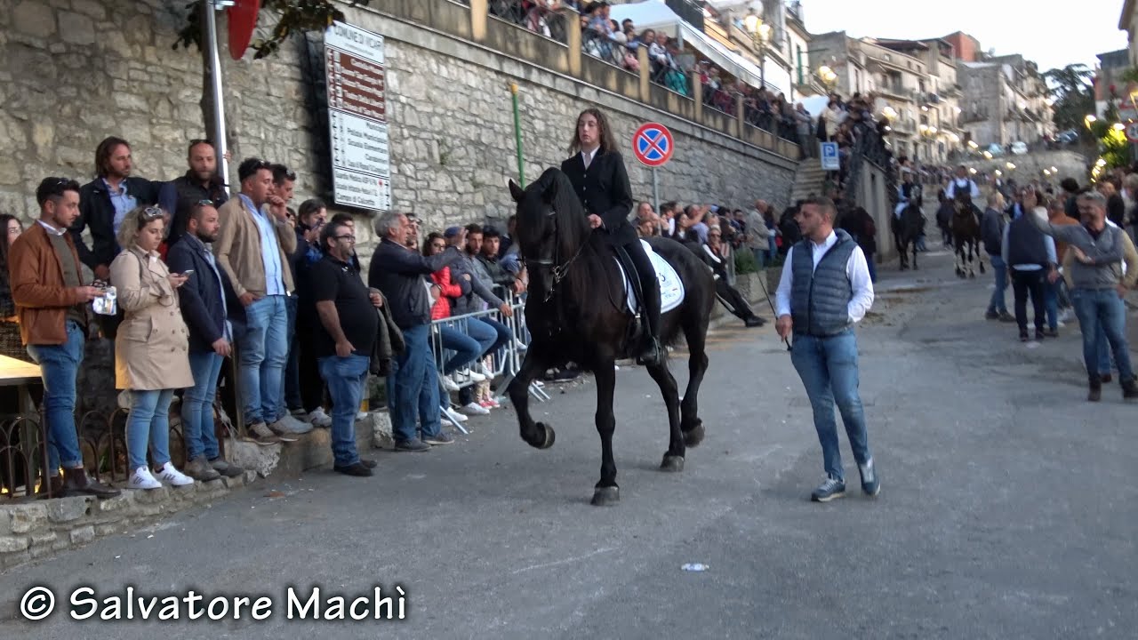Vicari (PA) - Sfilata equestre - 2^ parte - 2024
