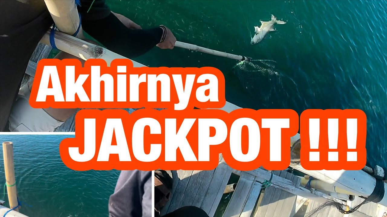 Mancing Bagan 300 ribu di Kamal Muara Jakarta