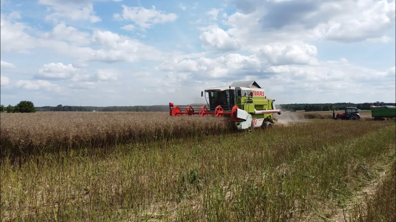 Kradzione Żniwa 2023 z Nowym Nabytkiem | Claas Mega 204