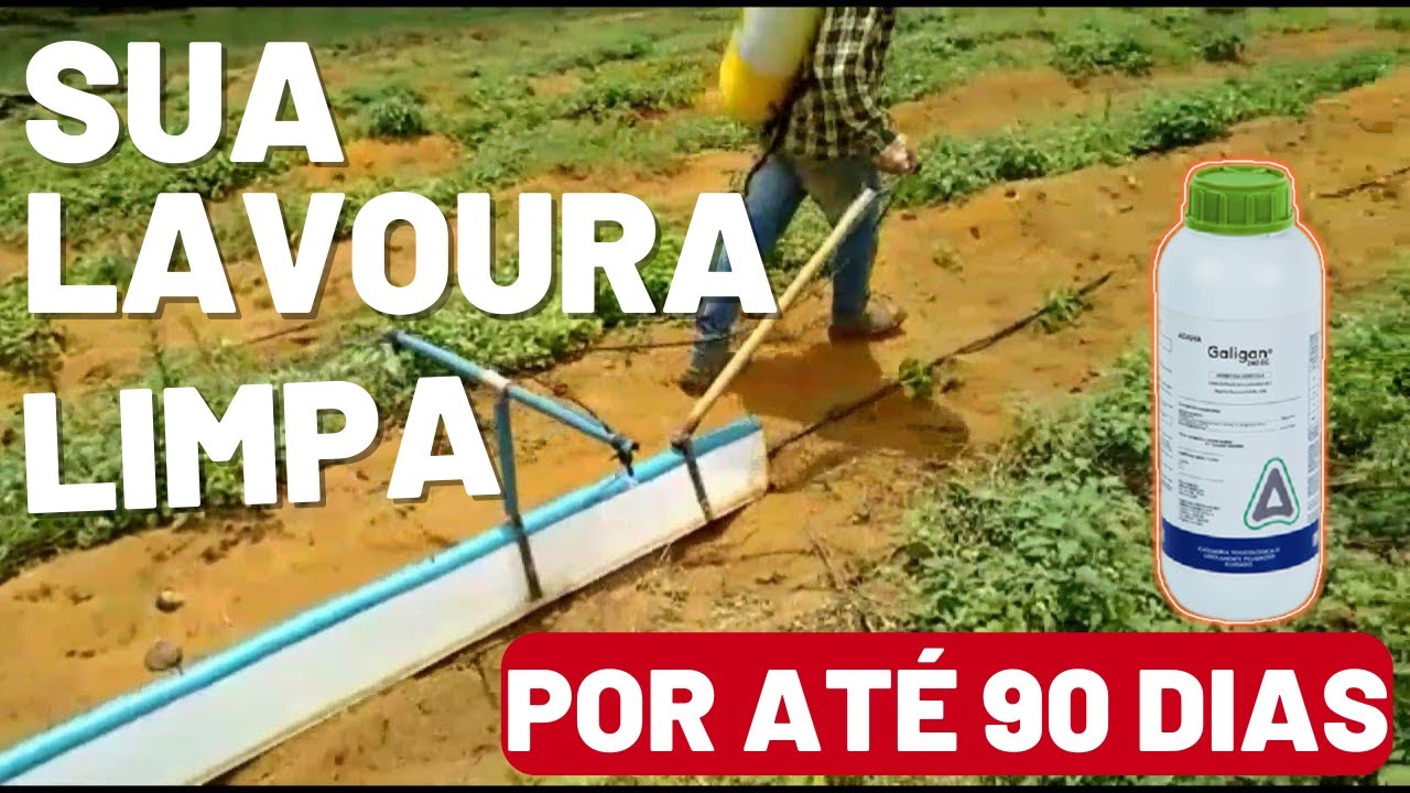 Aplicação de pré emergente no café novo. Galigan e Glifosato 🌱
