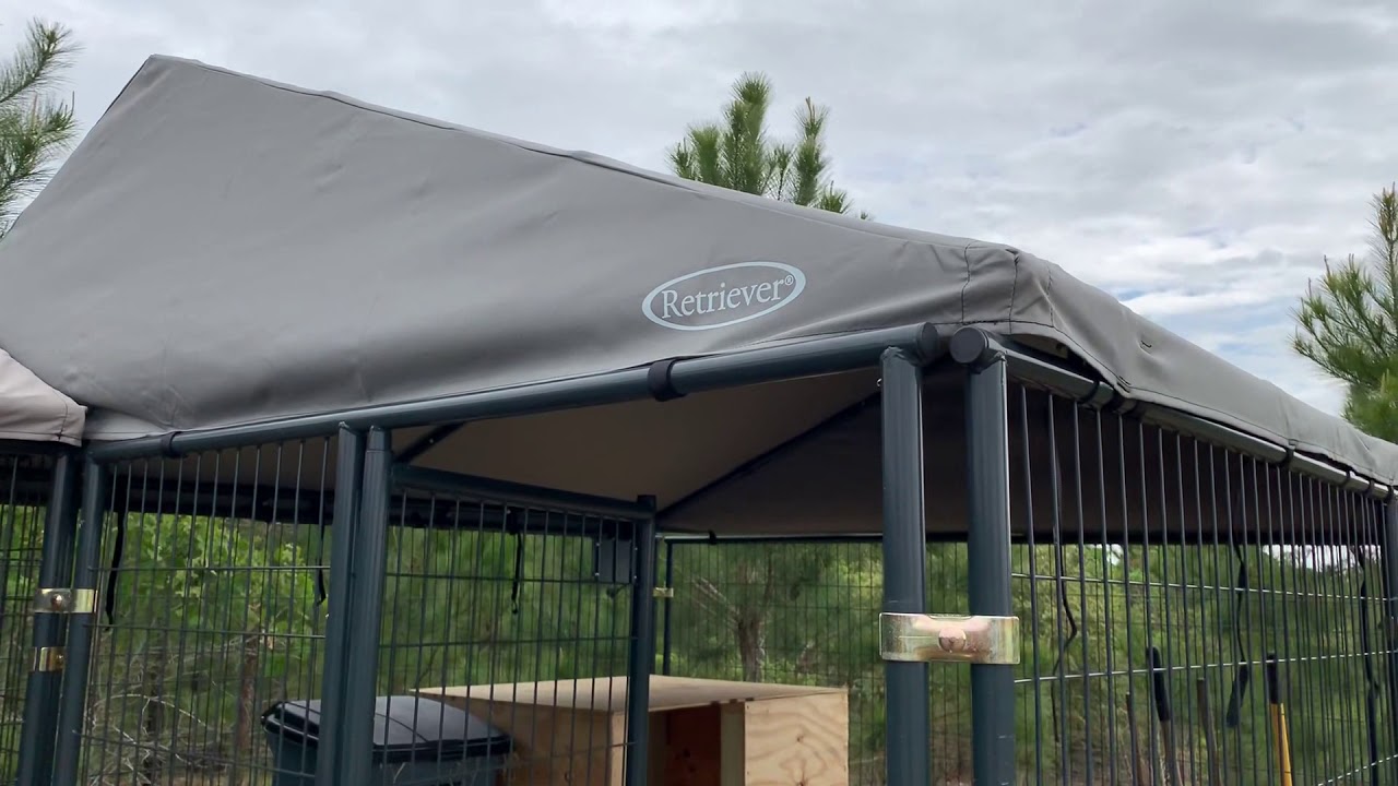 Retriever dog kennel