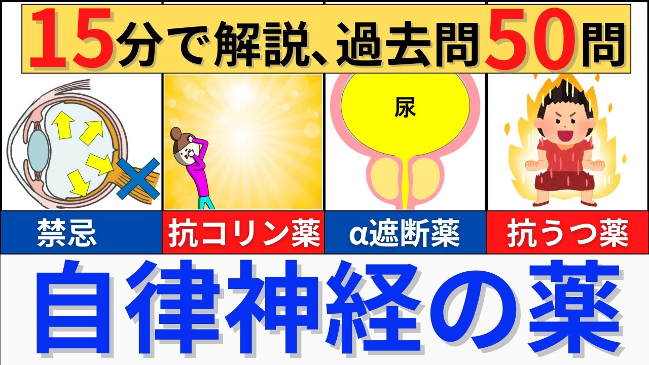 【薬理で1番大事】抗コリン薬など自律神経作用薬について解説！