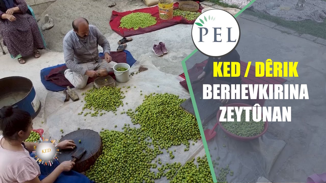 KED - DÊRIK  / BERHEVKIRINA ZEYTÛNAN