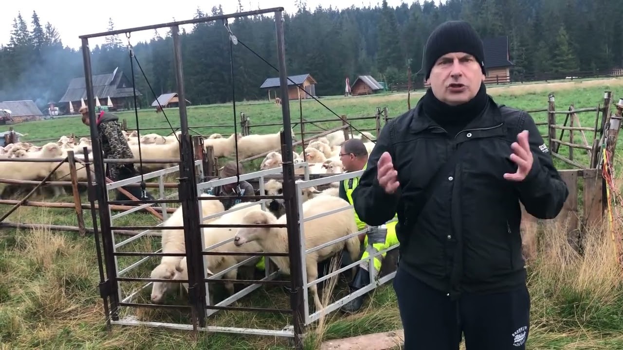 PORANNIK24 - 6.09.22- Poranny Dziennik Patriot24.net - prezentuje Robert Rewiński, Redaktor Naczelny