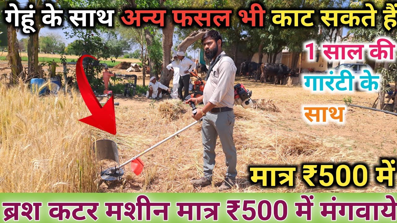 20 March 2025 💯 ब्रश कटर मशीन मात्र ₹500 में अपने घर ले 💥 जाओ गेहूं के साथ 💥अन्य फसल भी काटे