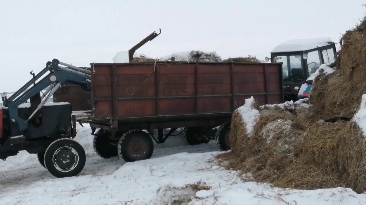 Расчистка и погрузка сена