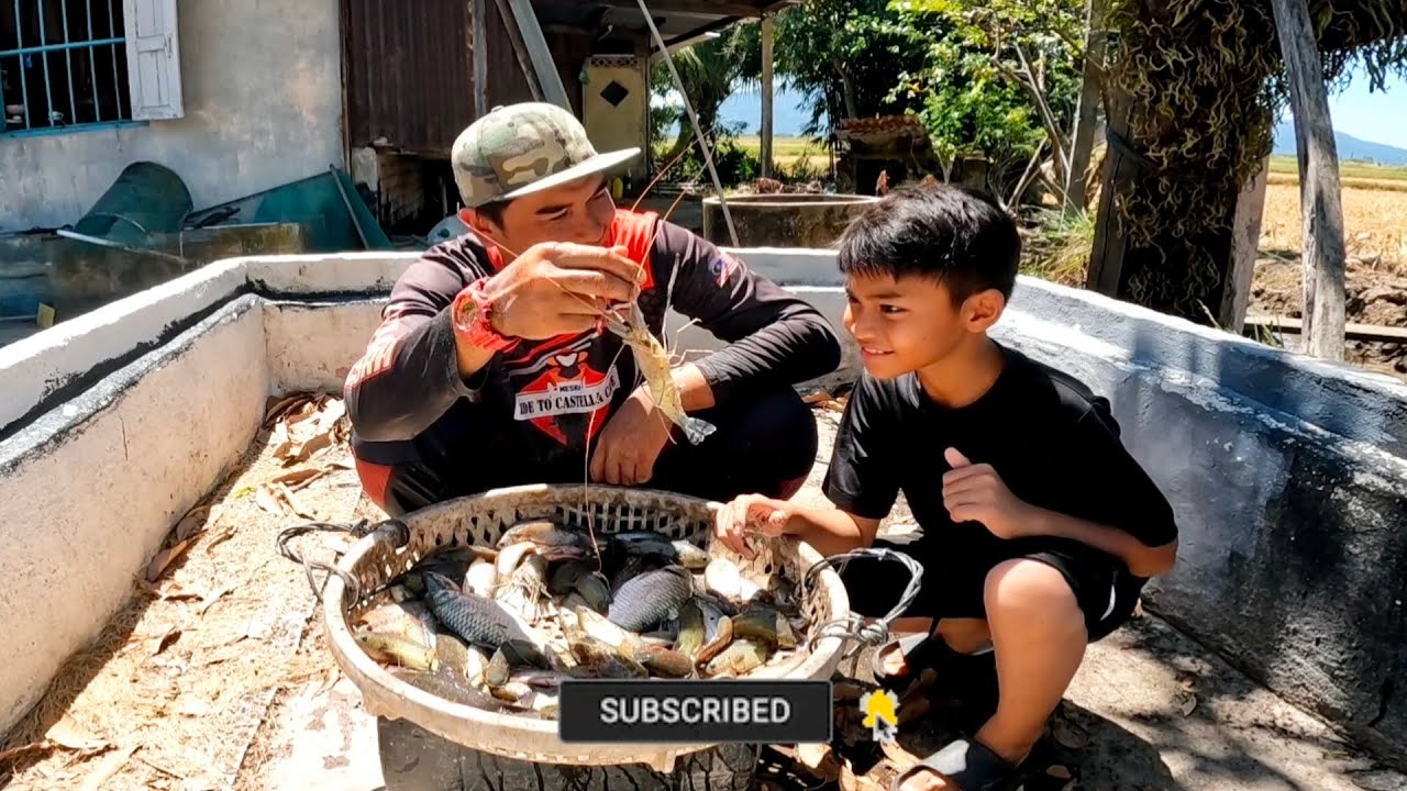 Cabaran Menjala 4 Sungai Di Bulan Puasa & Cuaca Kemarau Di Kedah. Rezqi Udang & Ikan Keli s459