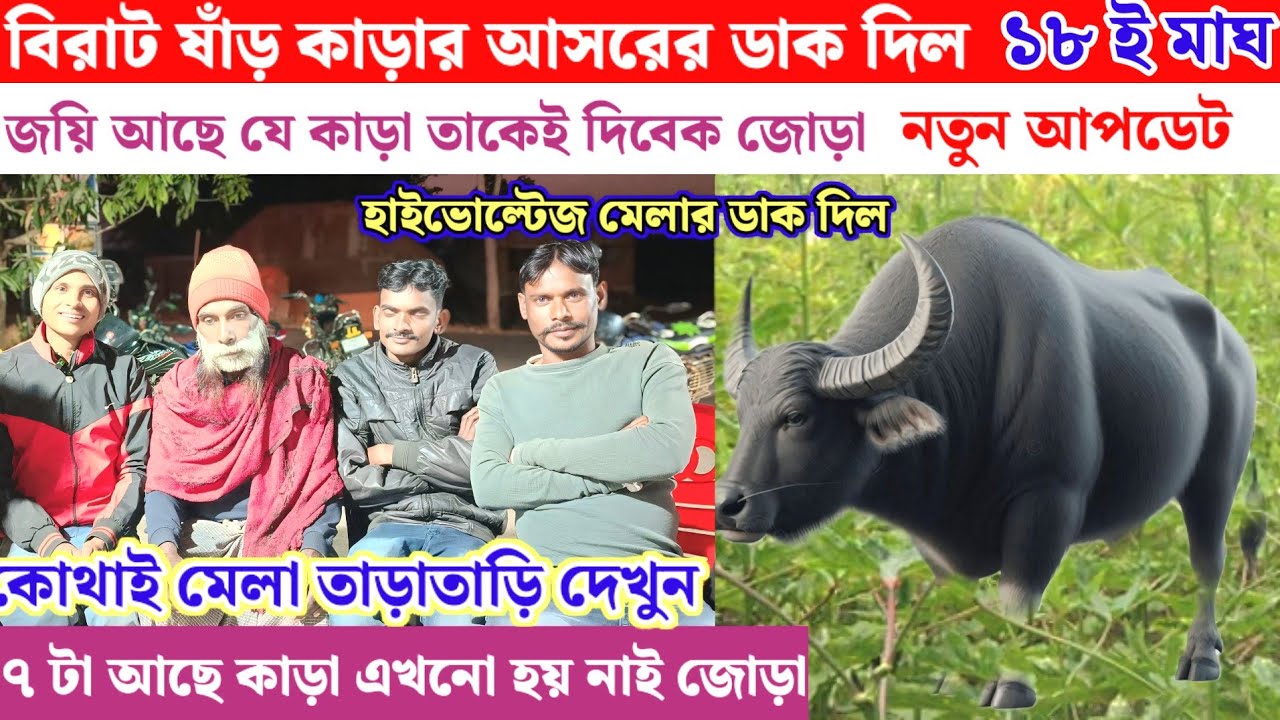 বিরাট ষাঁড় কাড়ার আসরের ডাক দিল// ১৮ ই মাঘ// লাগনি ছাড়া লিব নাই 
