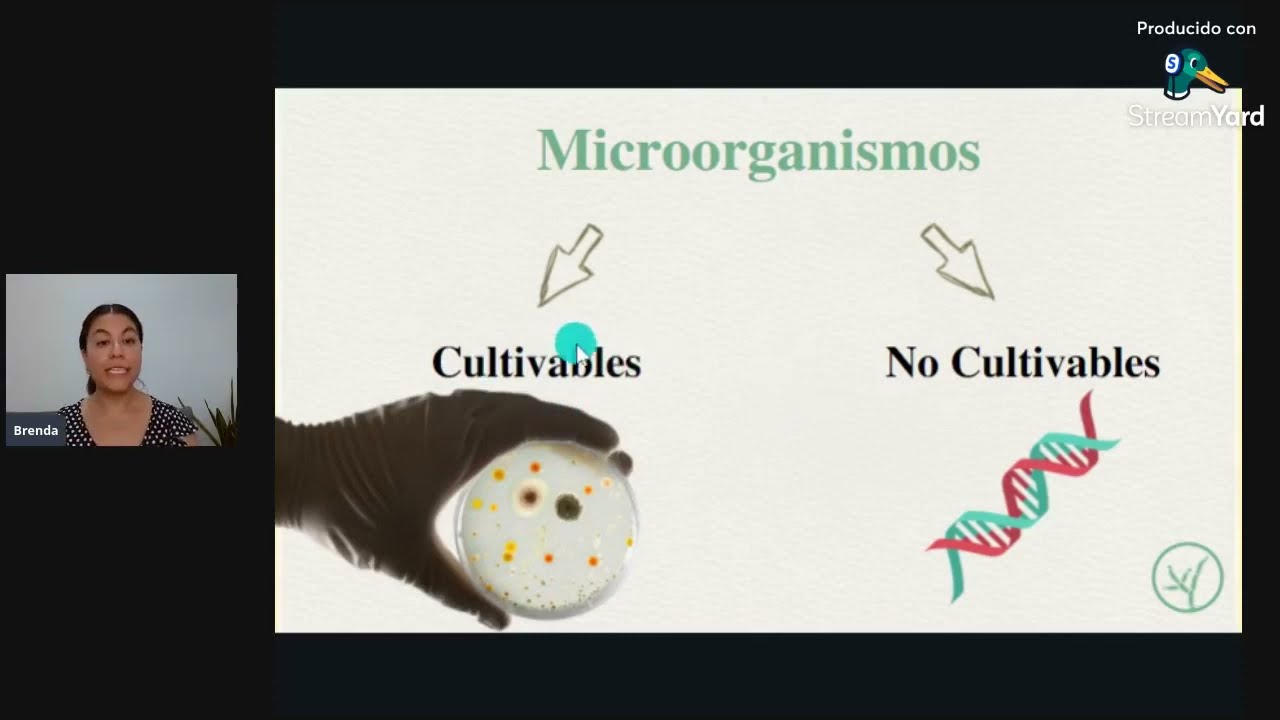 Relación Microorganismos - agricultura