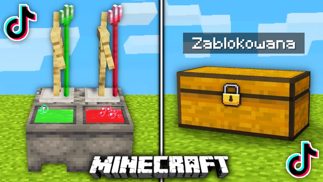 Najdziwniejsze HACKI z TIKTOKA w MINECRAFT które DZIAŁAJĄ!