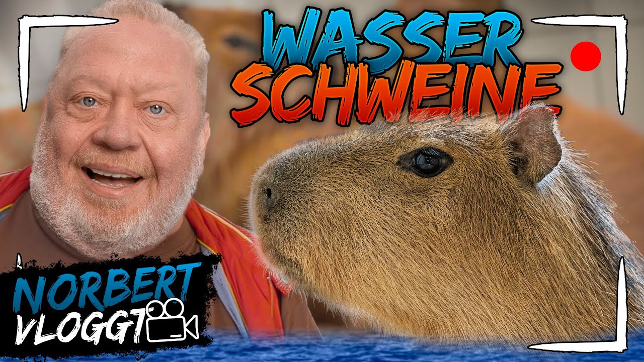 RIESENNAGER | NORBERT VLOGGT | Zoo Zajac