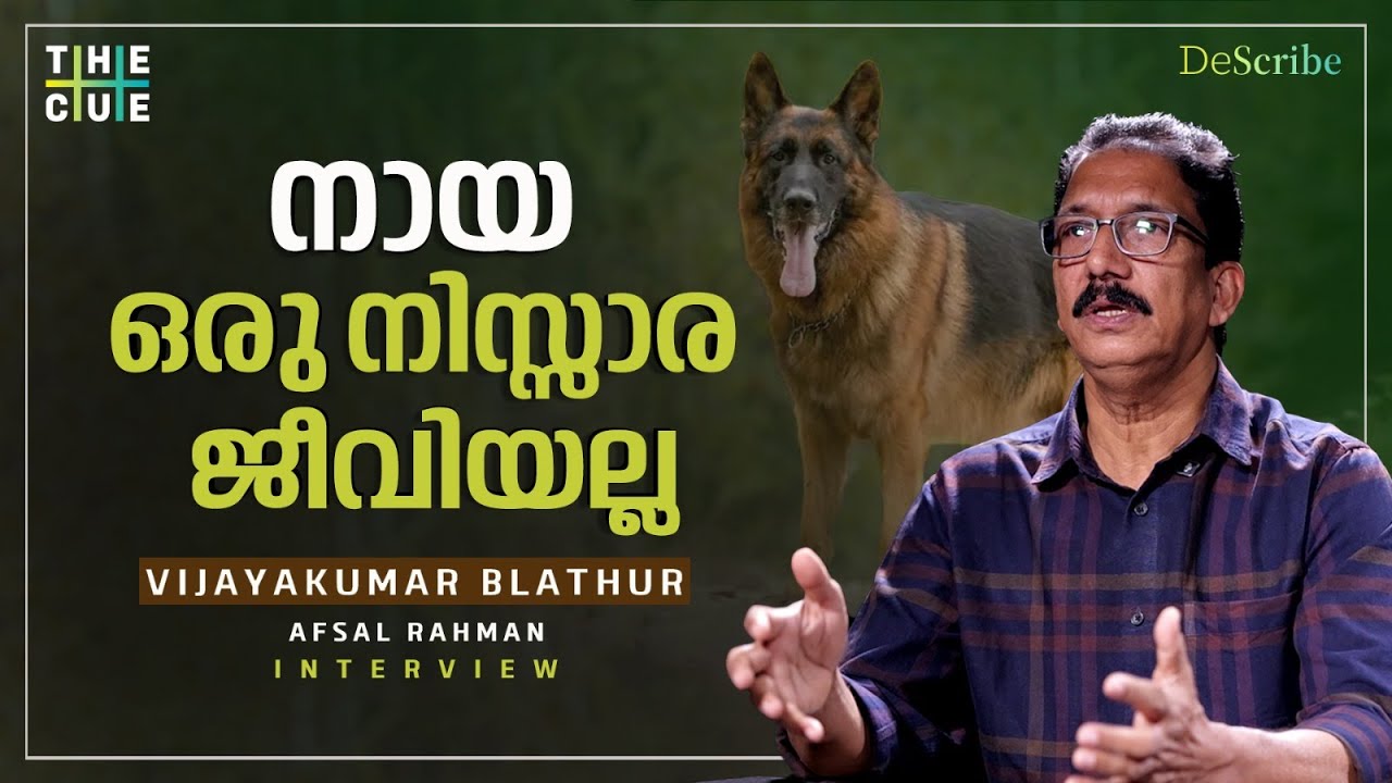 നായ എന്ന നന്ദിയുള്ള ജീവി |  Vijayakumar Blathur Interview | Dog Secrets | DeScribe | The Cue