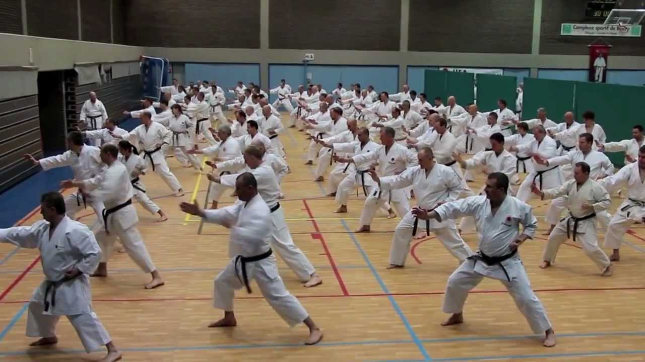 JKA Karate Stage Gasshuku in Belgium 2013