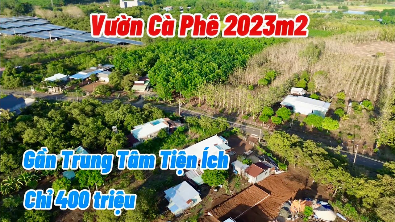 Bán vườn cà phê giá rẻ gần trung tâm tiện ích. Điện nước, hệ thống tưới tự động. Chỉ 400 tr.