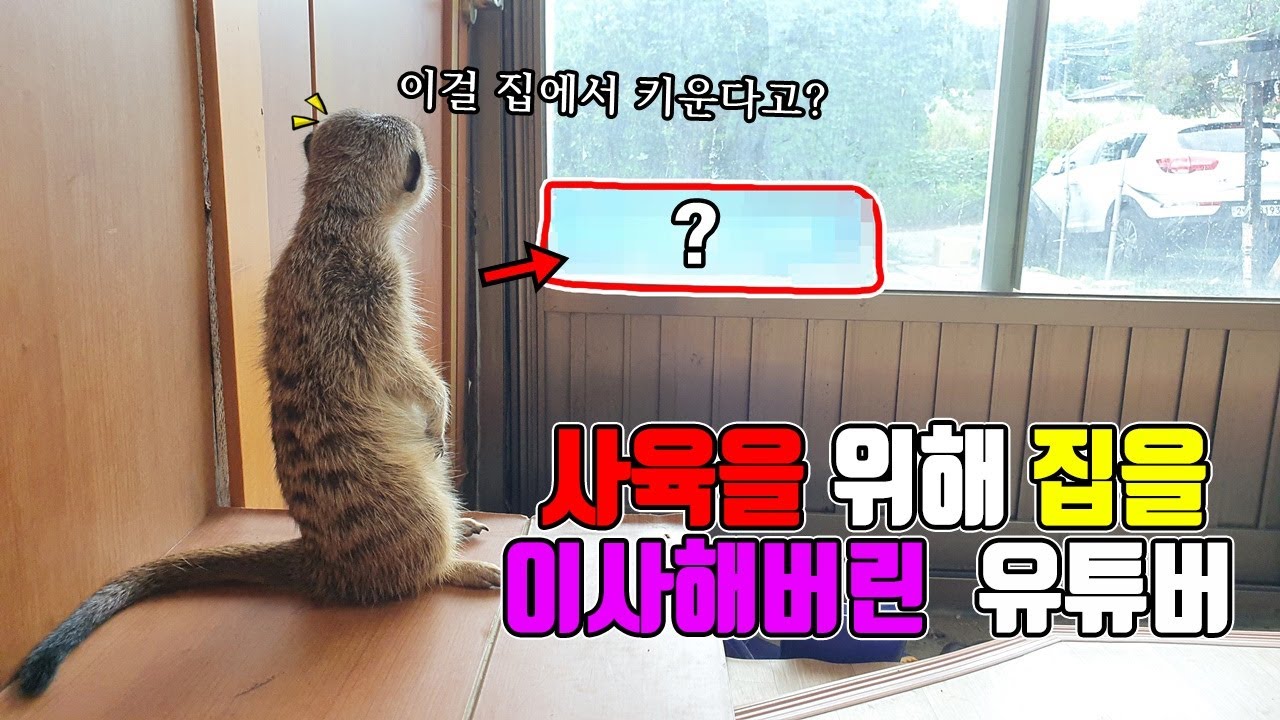동물농장 인기유튜버 집에 갔는데 ....집안 팎 모두 장난없네요ㅎㄷㄷ ☆신기주의☆