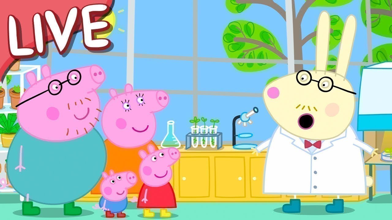 Peppa Pig Full Episodes 🔴 LIVE! Peppa Pig SPECIAL EPISODES - Cartoons for Kids